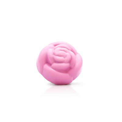 Beauty Rose Miniatur